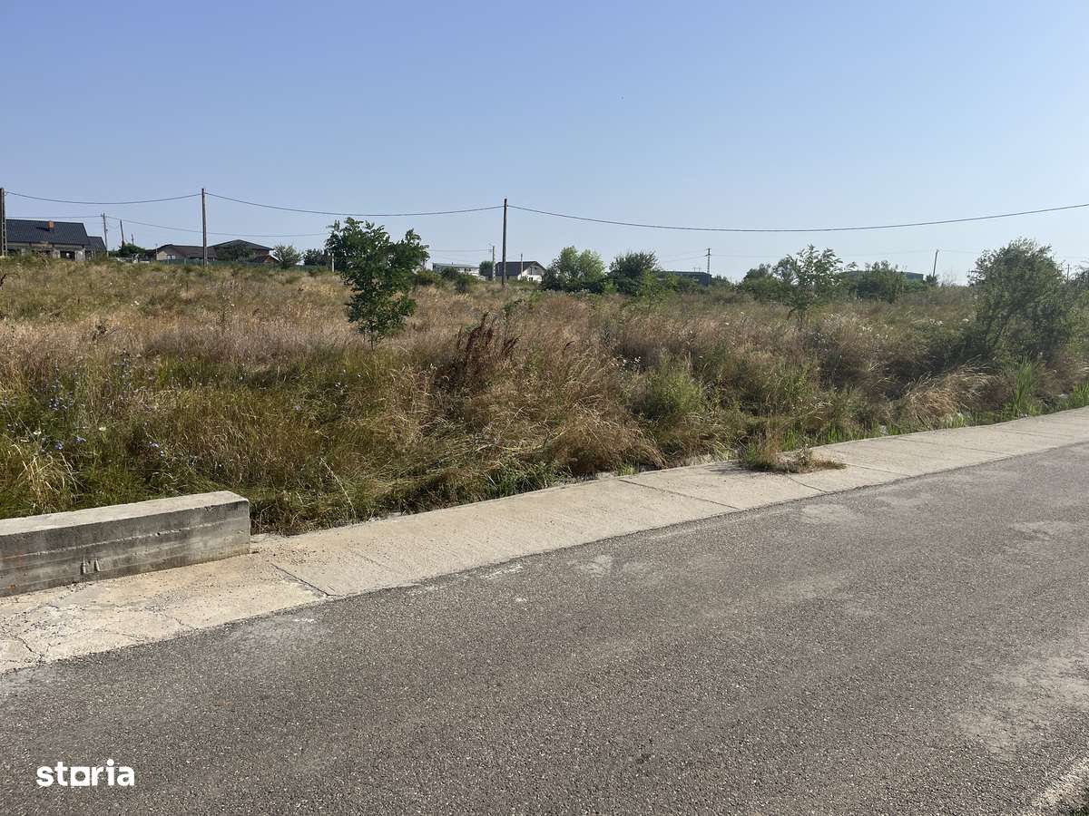 Teren 1139mp Albota-4