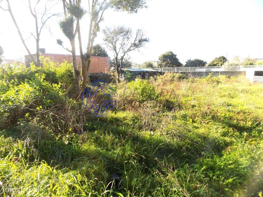 Terreno Plano-Baixa de Preço!-Excelente Oportunidade! - Grande imagem: 4/5