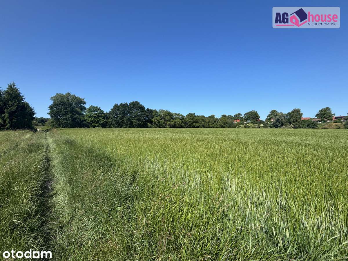 Inwestycyjna działka - Świbno - Pełny obrazek: 5/8