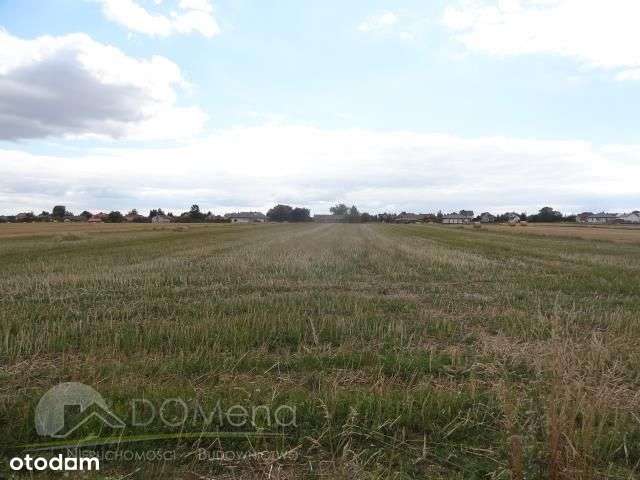 Działka, 1 300 m², Pniówek-7