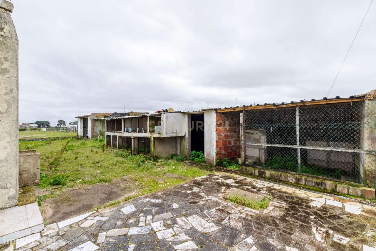 Moradia T2 para renovação | Lote 1.000 m² | São Francisco, Alcochete |-19