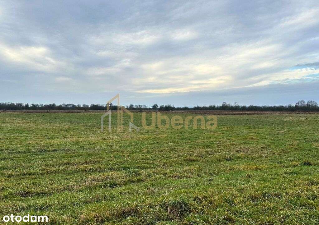 Działka rolna Gm.Goleniów na sprzedaż-3