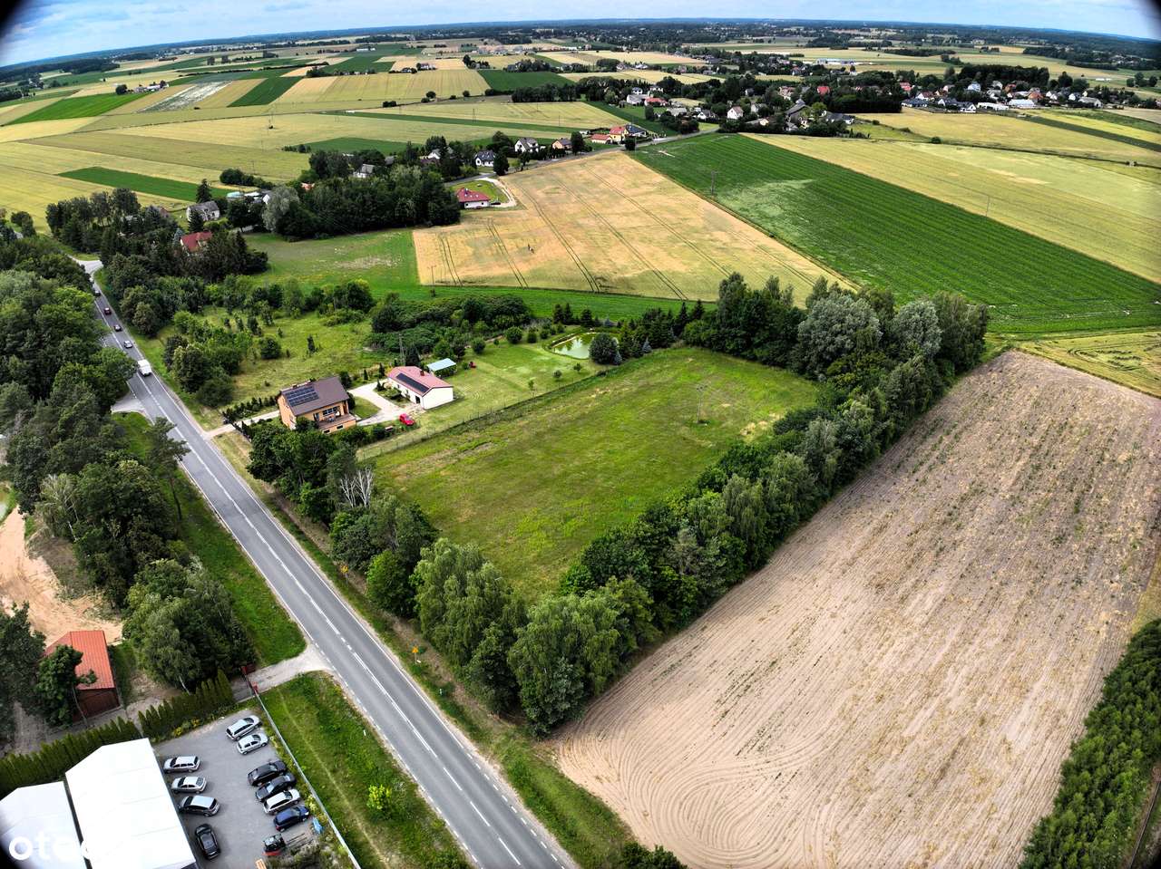 Działka Inwestycyjna | Mieszkaniówka | Usługi | Produkcja - Pełny obrazek: 5/9