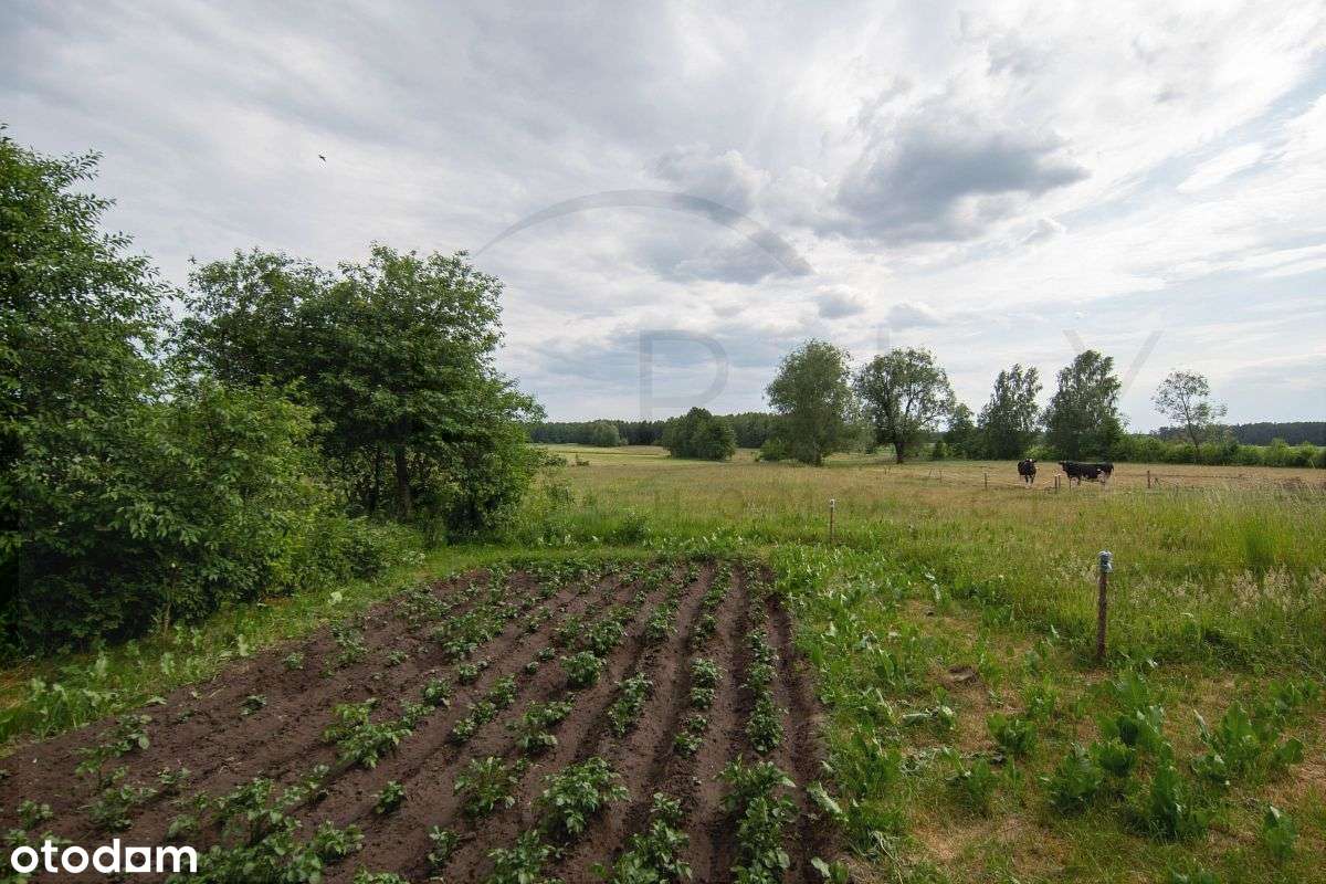 Dom na sprzedaż w Niewino Borowe-19