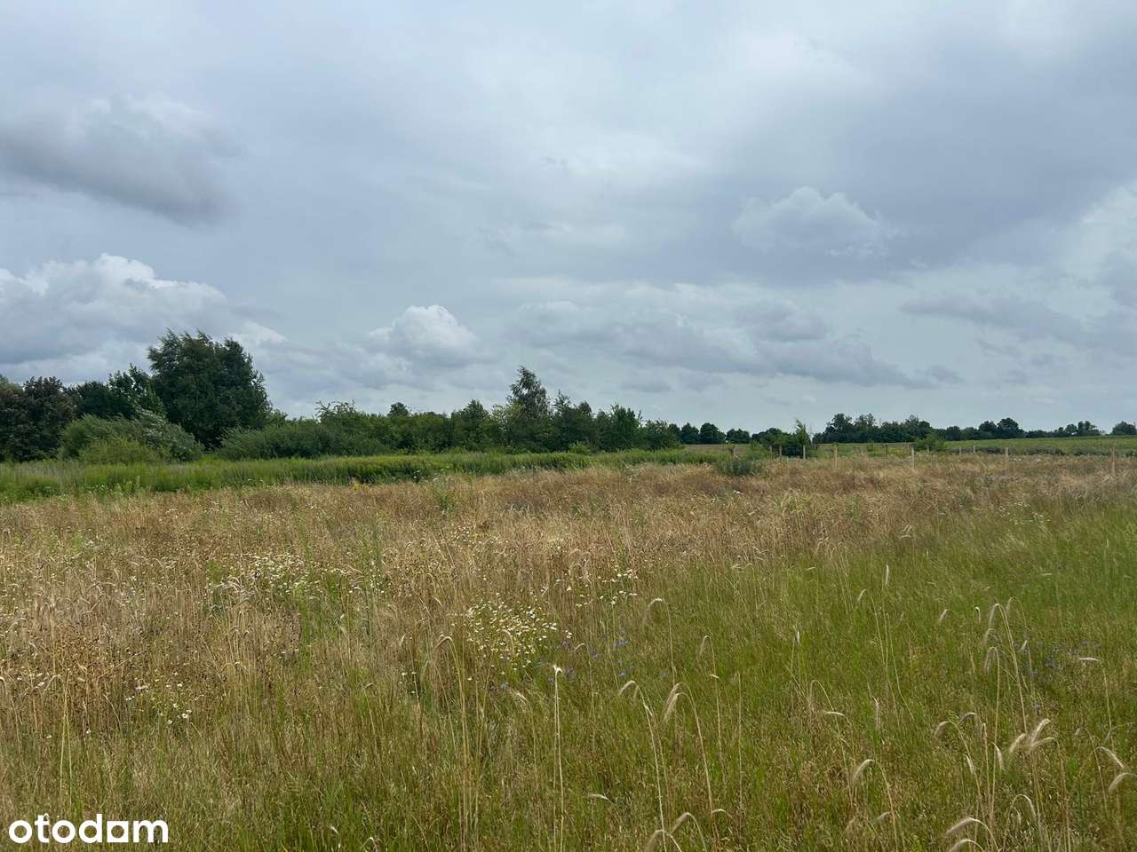 Działki budowlane z WZ, w zielonej części Poznania - Radojewo! - Pełny obrazek: 2/5