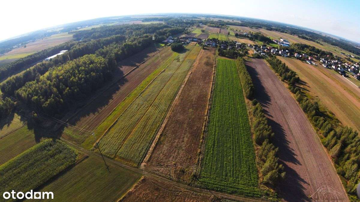 Działka budowlana | Panki, ul. Górnicza-3