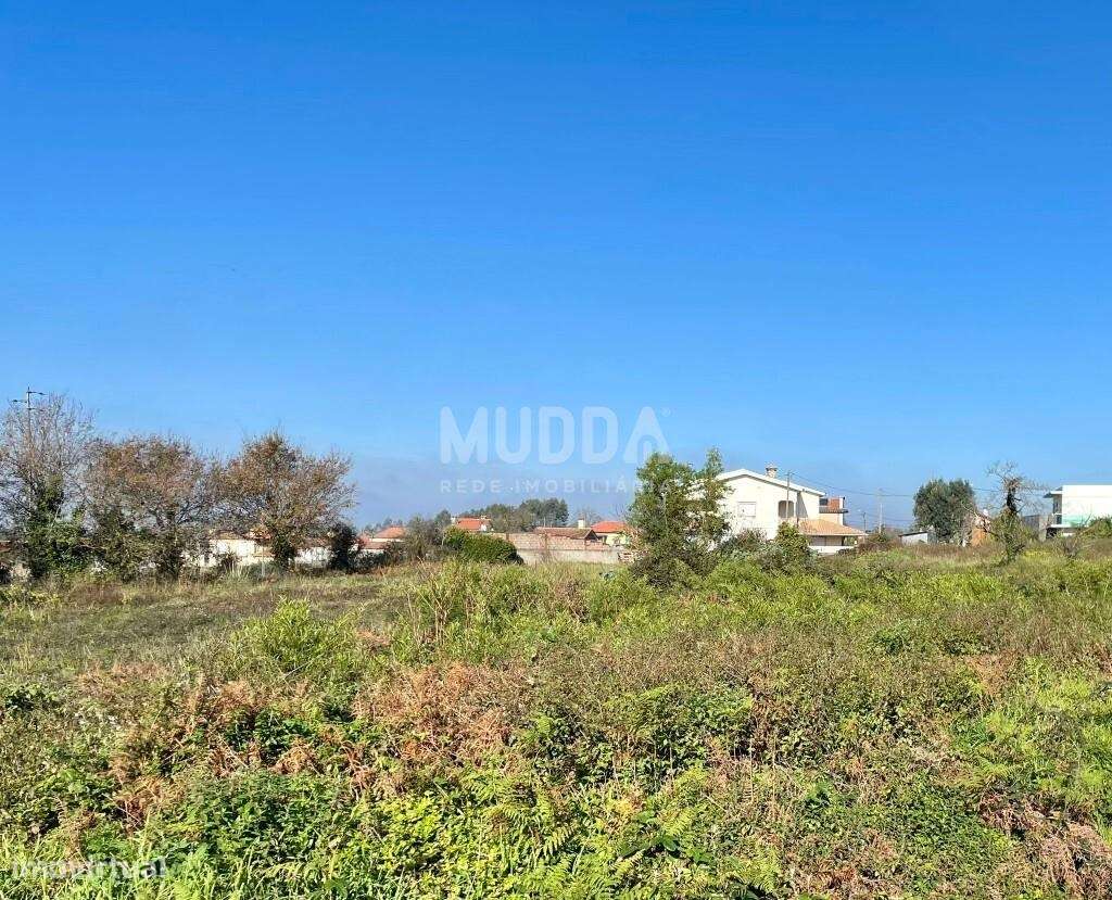 Terreno urbanizável de 7000 mts face à estrada Nacional nº1 na Branca - Grande imagem: 3/3
