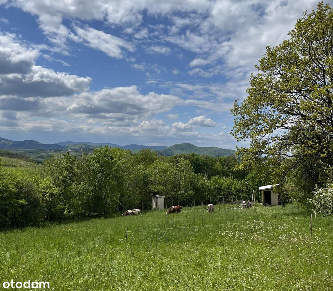 Bojańczyce - widokowa działka budowlana-12