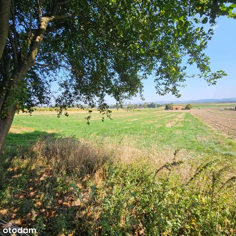 Cudowny dom z widokiem na Tatry - Pełny obrazek: 2/20