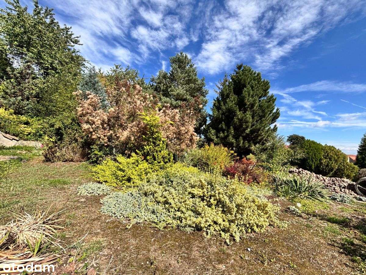 Dom wolnostojący w Winnej Górze - Pełny obrazek: 5/17