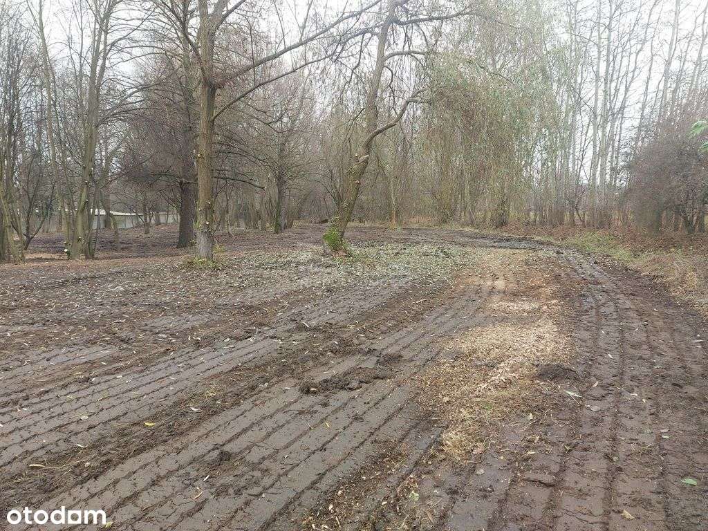 Działka 1500m2 w Milanówku - Pełny obrazek: 4/7