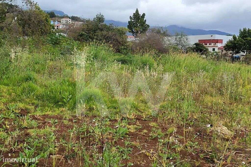 Terreno industrial de grandes dimensões em São Martinho - Grande imagem: 4/15
