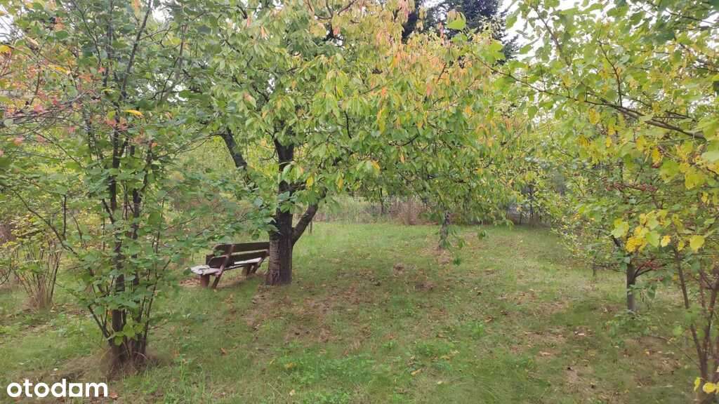Działka ROD w Radomiu – Potkanów, „Pod Skarpą” - Pełny obrazek: 3/15