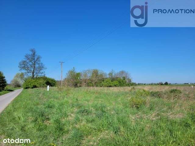 Na sprzedaż działka 2219m2 Mpzp, Sokolniki-Parcela - Pełny obrazek: 4/8