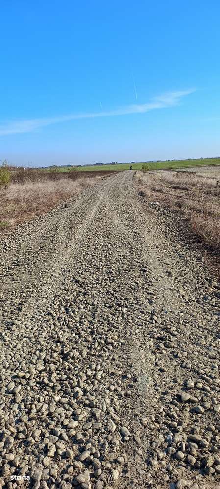 Loturi teren/ PUZ/ TSV Frumusani - Imagine principală: 4/4