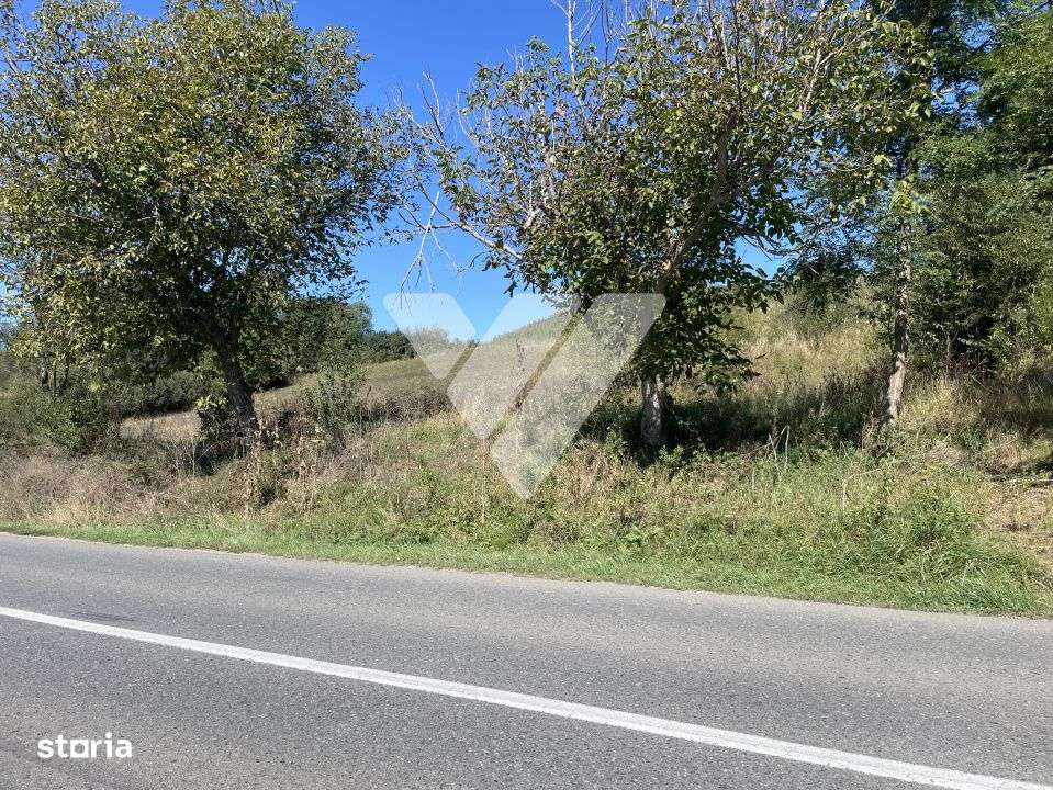 Teren intravilan cu PUZ aprobat 1300 mp - 17 km de Sibiu - Imagine principală: 4/4