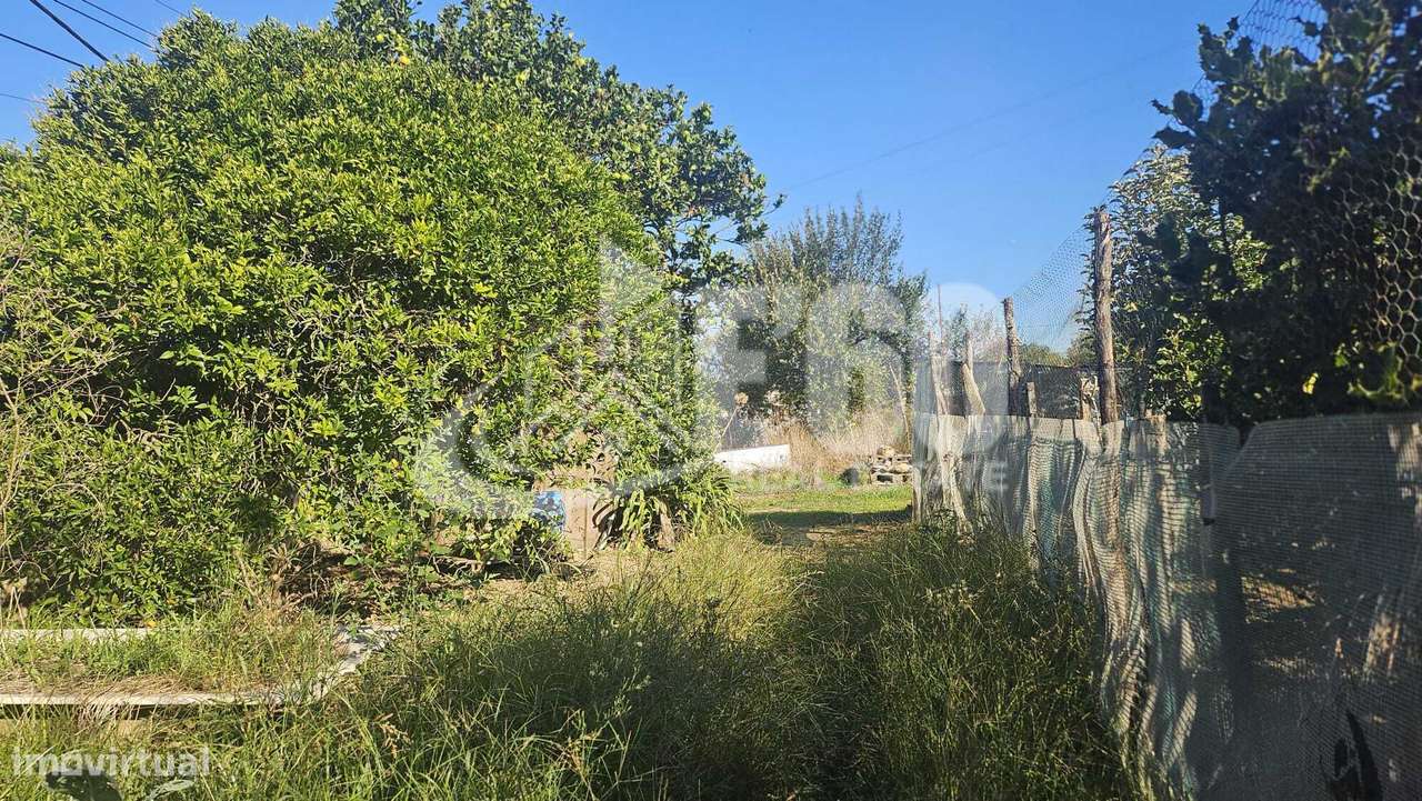MORADIA TÉRREA COM 4 FRENTES E TERRENO DE 2.375M2 PARAMOS-22