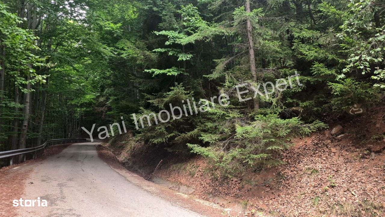 Teren de vânzare pe Transfăgărășan, zona Molivișu ( 69.450 mp ) - Imagine principală: 5/20