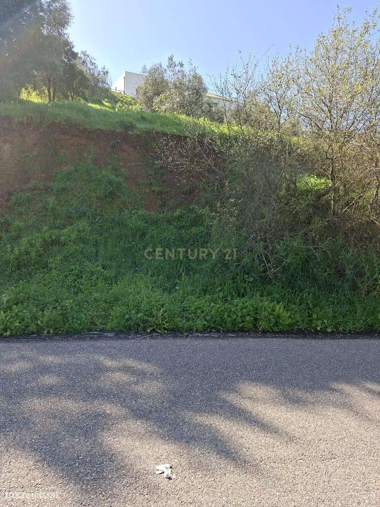 Oportunidade – Lote de Terreno em Montargil-12