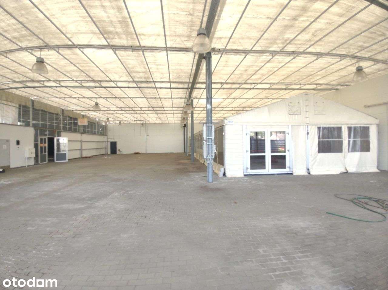Hala/Magazyn, 1 500 m², Owińska - Pełny obrazek: 5/9