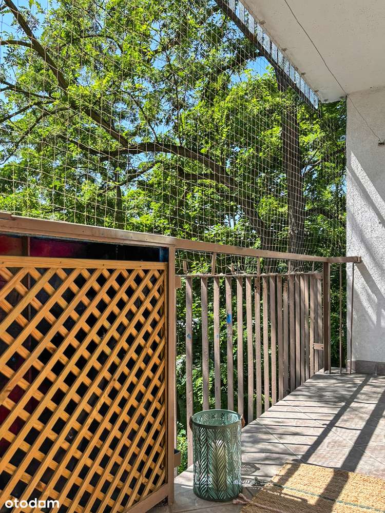 4 pokoje/72 m²/niski blok/blisko terenów zielonych-3