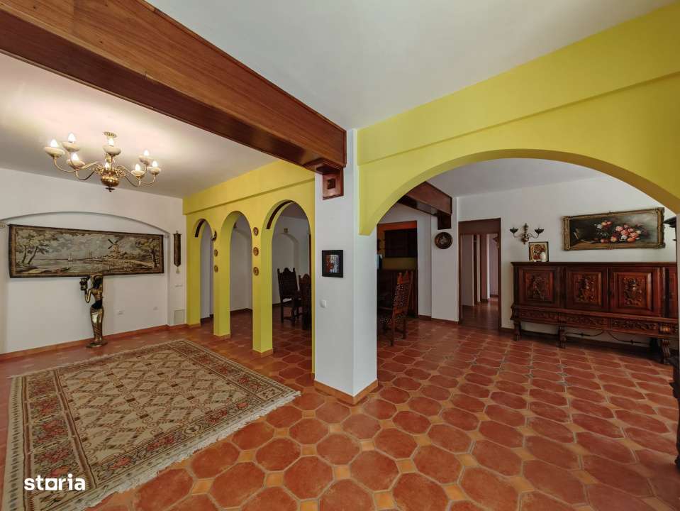 Vila in Pipera, spatioasa, retrasa, multifamiliala - intimitate totala-8