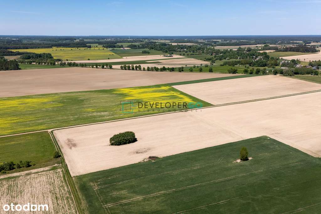 Kształtna działka rolna w Folwarkach Tylwickich! - Pełny obrazek: 4/6