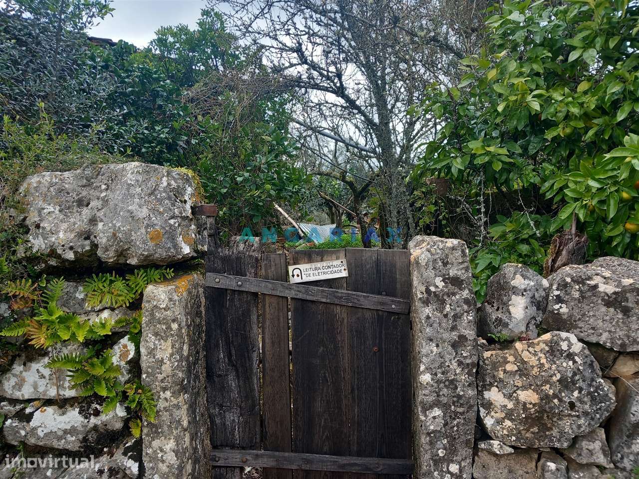 ANG1560 - Quinta para Venda em Santiago da Guarda, Ansião - Grande imagem: 5/13