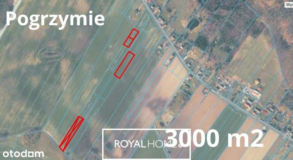 Świetna oferta działka 7 km od Maszewa. - Pełny obrazek: 4/4