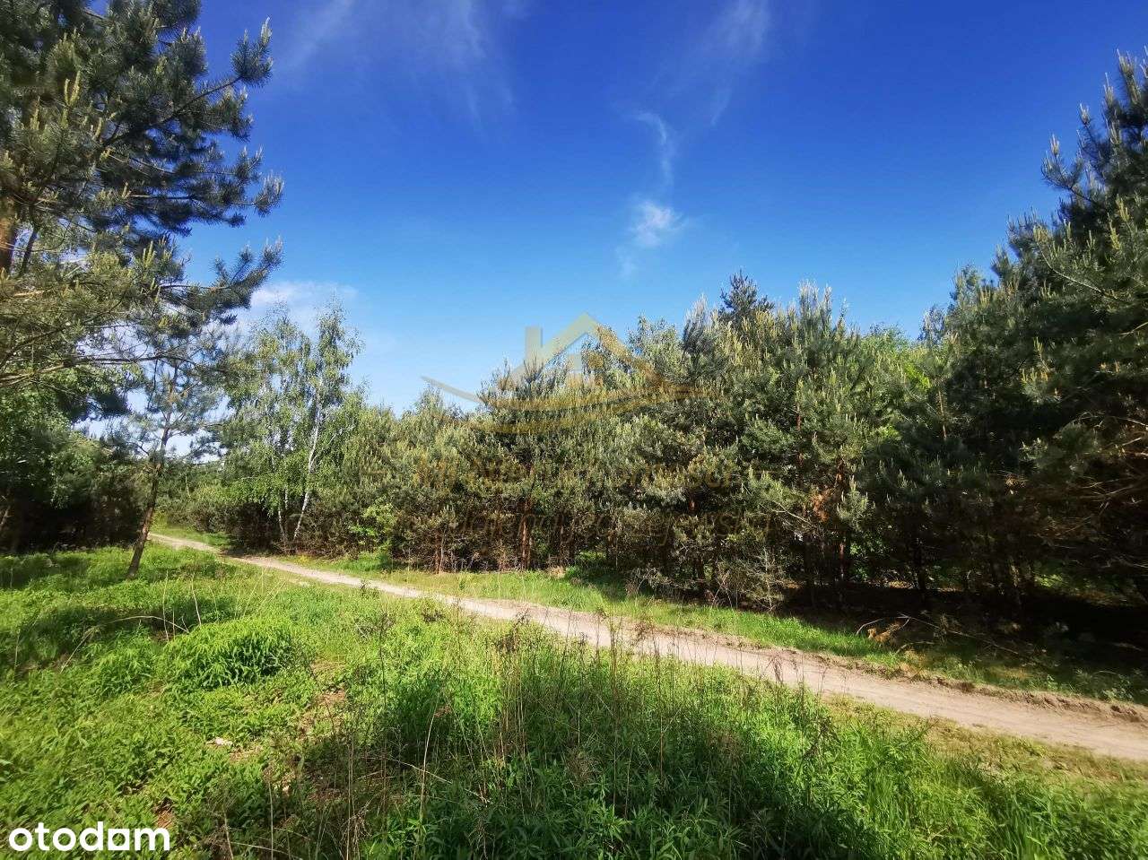 Działki Budowlane Adamów-Wieś z Mpzp - Pełny obrazek: 5/6