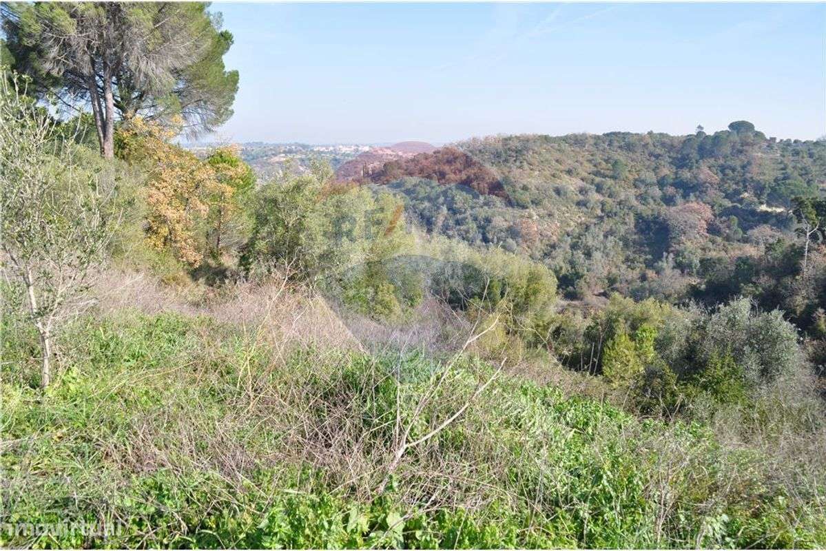 Terreno  para venda - Grande imagem: 4/7