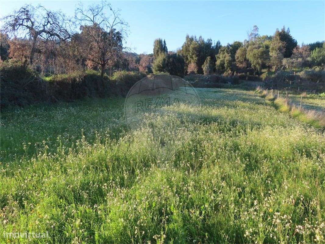 Quinta  para venda - Grande imagem: 4/33