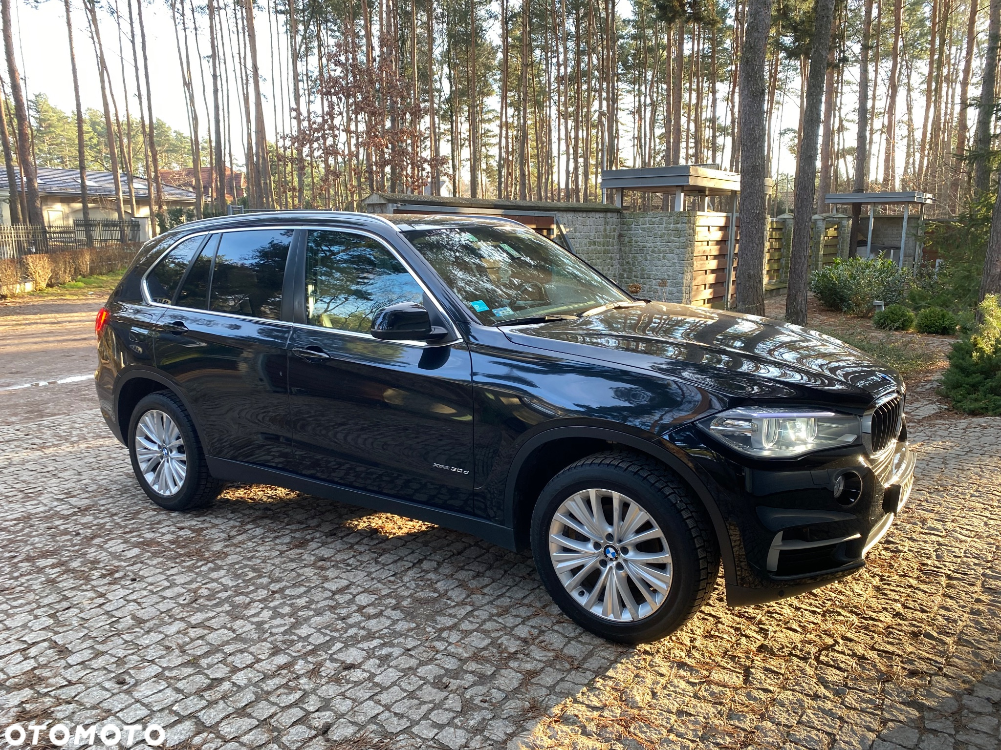 BMW X5 xDrive30d - 3