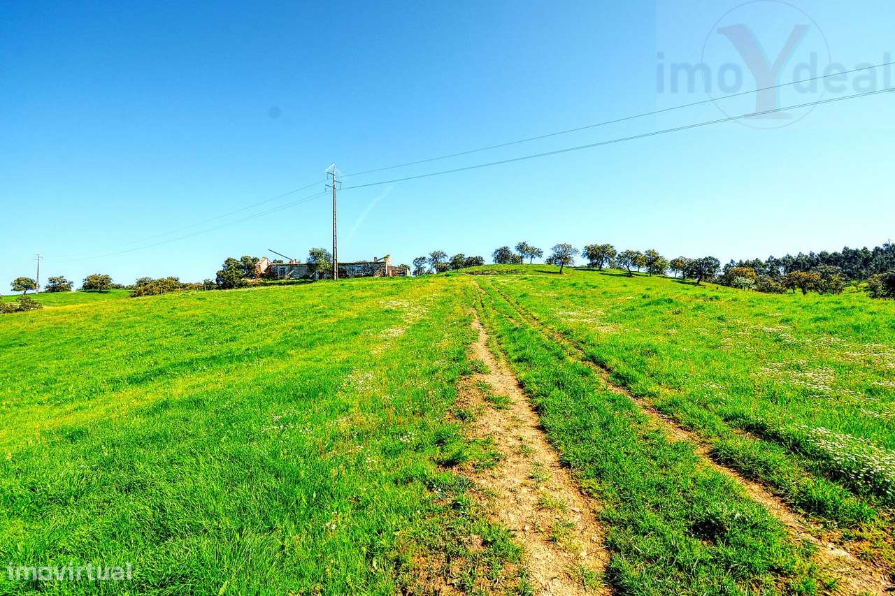TERRENO EM S.BARTOLOMEU DA SERRA-17