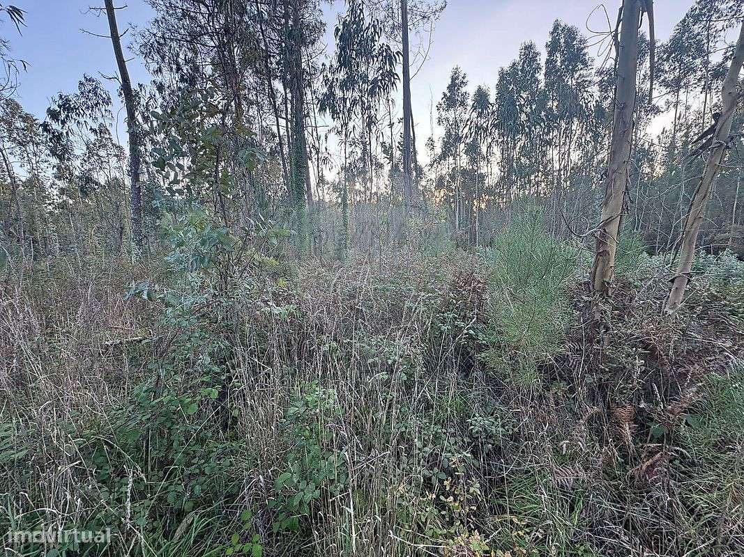 Terreno  para venda - Grande imagem: 4/14