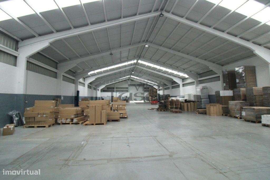 Armazém Rio Meão 1.700 m2 de área coberta + Logradouro e PT próprio - Grande imagem: 5/17