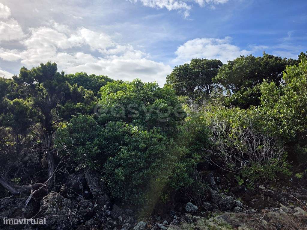 Terreno com Vista Mar e Montanha em Zona de Paisagem Protegida da V... - Grande imagem: 5/11