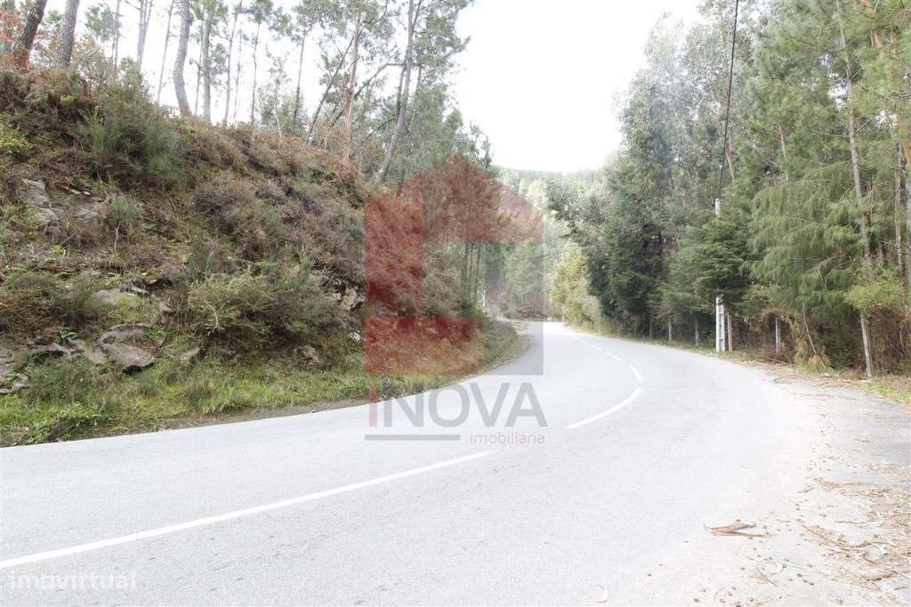 Terreno agrícola, Ponte - Grande imagem: 4/11