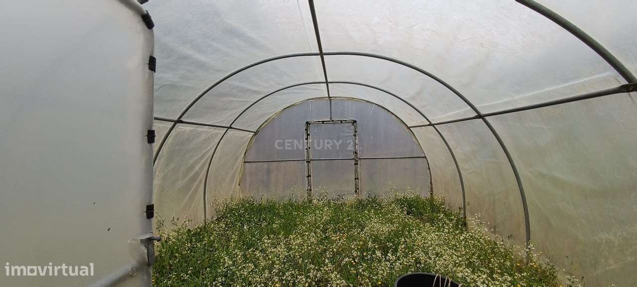 Terreno agrícola com àgua e viabilidade de construção em Granja, S. To - Grande imagem: 5/50