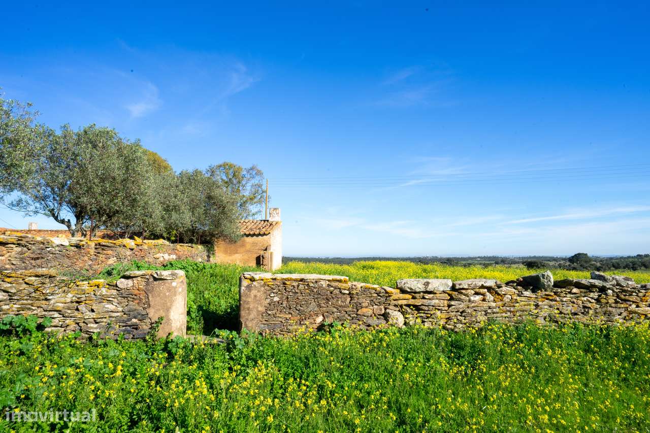 MONTE ALENTEJANO NO ALANDROAL, ÉVORA-42