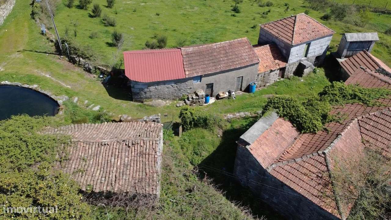 Moradia Devoluta T4+2 Venda em Baião (Santa Leocádia) e Mesquinhata,Ba - Grande imagem: 4/11