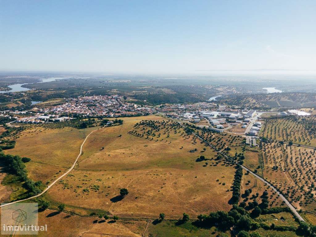 Terreno de olival em Avis - Grande imagem: 3/17