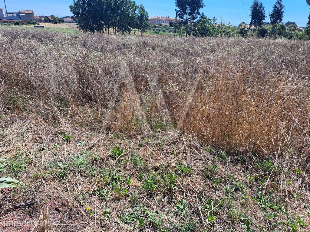 Terrenos _ Porto de Mós - Grande imagem: 5/7