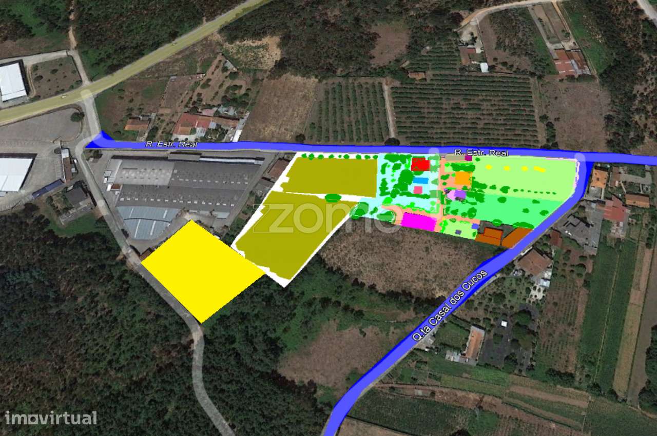 Quinta Kiwis, 1,7ha, 2 casas, piscina, Estrada Real, Águeda, Aveiro - Grande imagem: 2/60