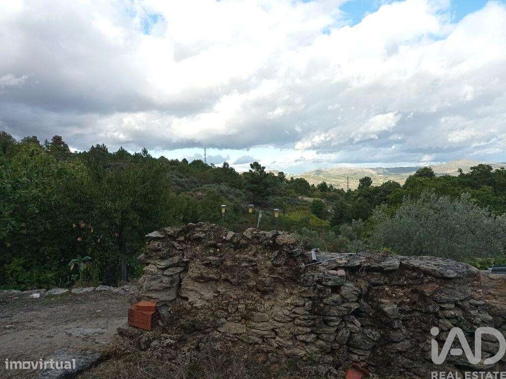 Terreno Agrícola em Sendim-6