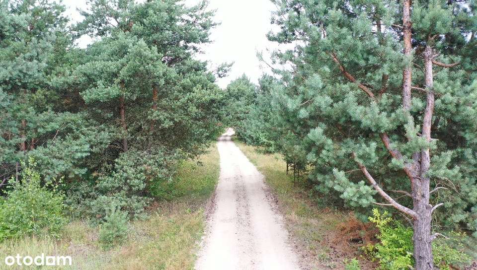 Działka 1200 m2 w bezkonkurencyjnym otoczeniu - Pełny obrazek: 4/8