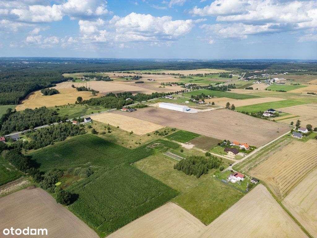 Działka z Mpzp I Spokojna okolica I Blisko Gdańsk - Pełny obrazek: 4/5