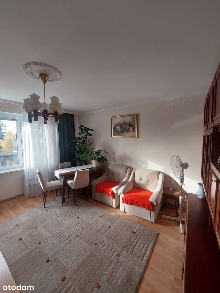 Plewiska wyposażone, zadbane 66m2 z garażem, ogródkiem, pom. gosp. Ip. - Pełny obrazek: 2/18