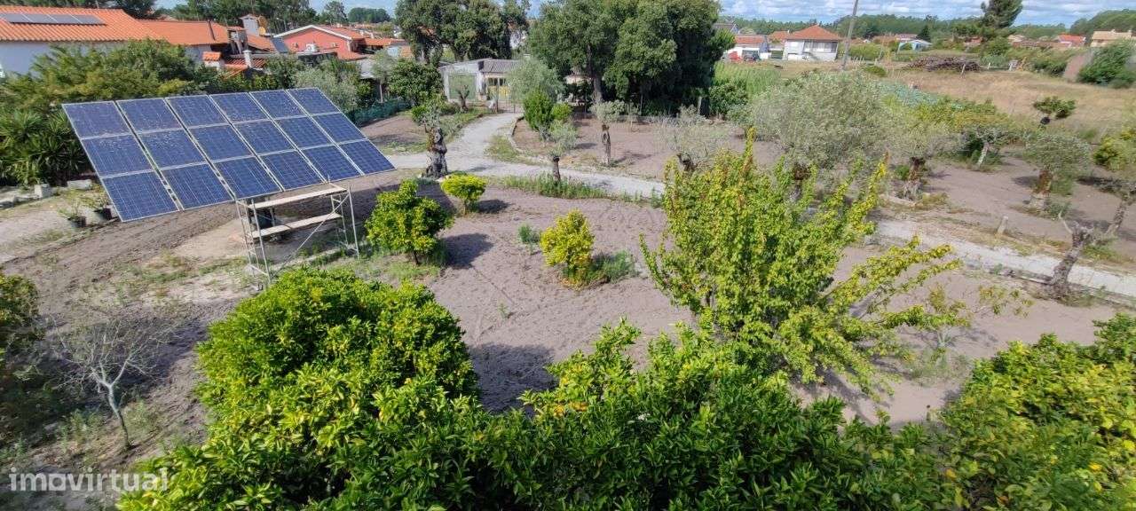 Moradia com 6 quartos, piscina e  Quinta envolvente em FEBRES-27