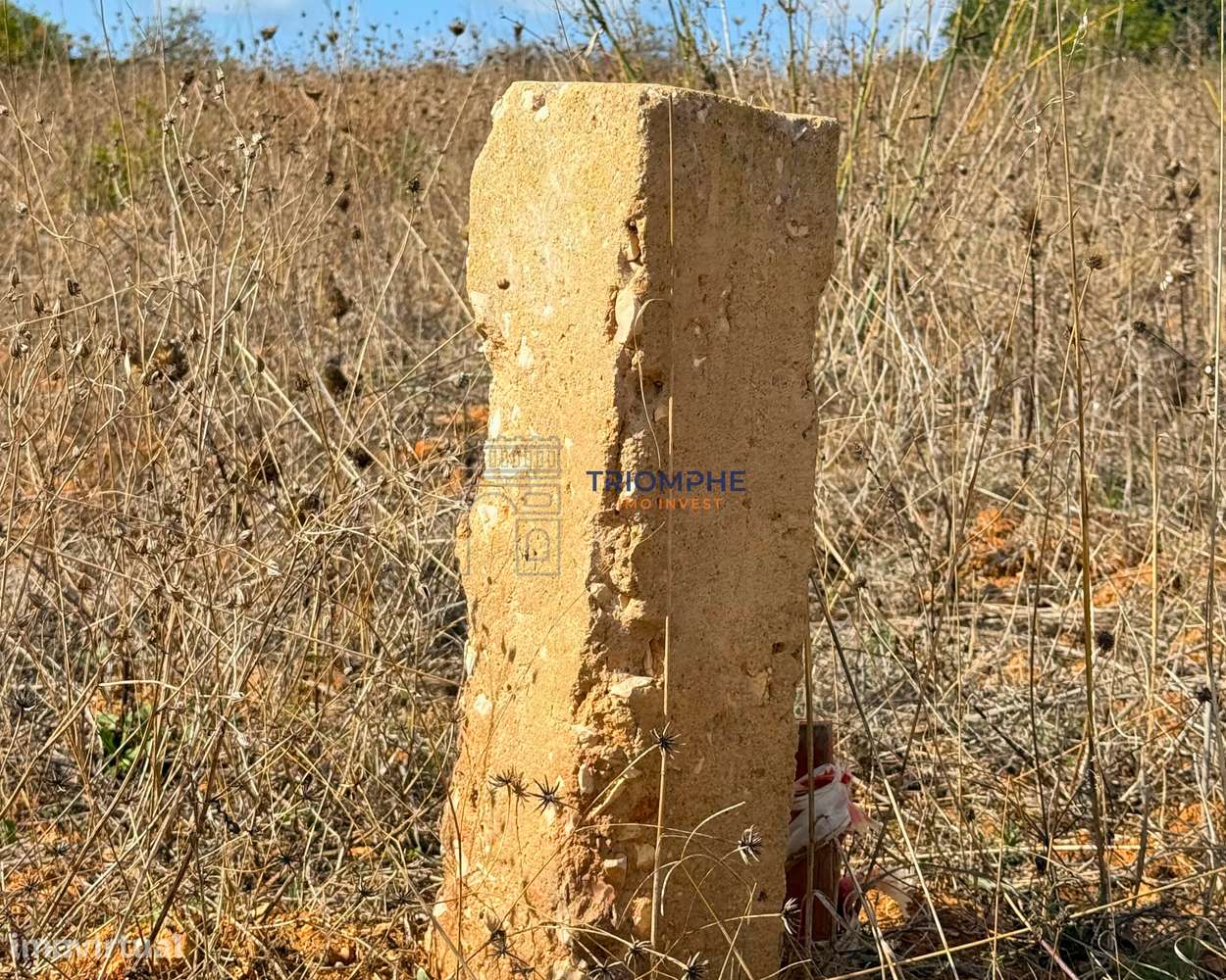 Terreno rústico 35 000 m² em Carvoeiro - Grande imagem: 5/9